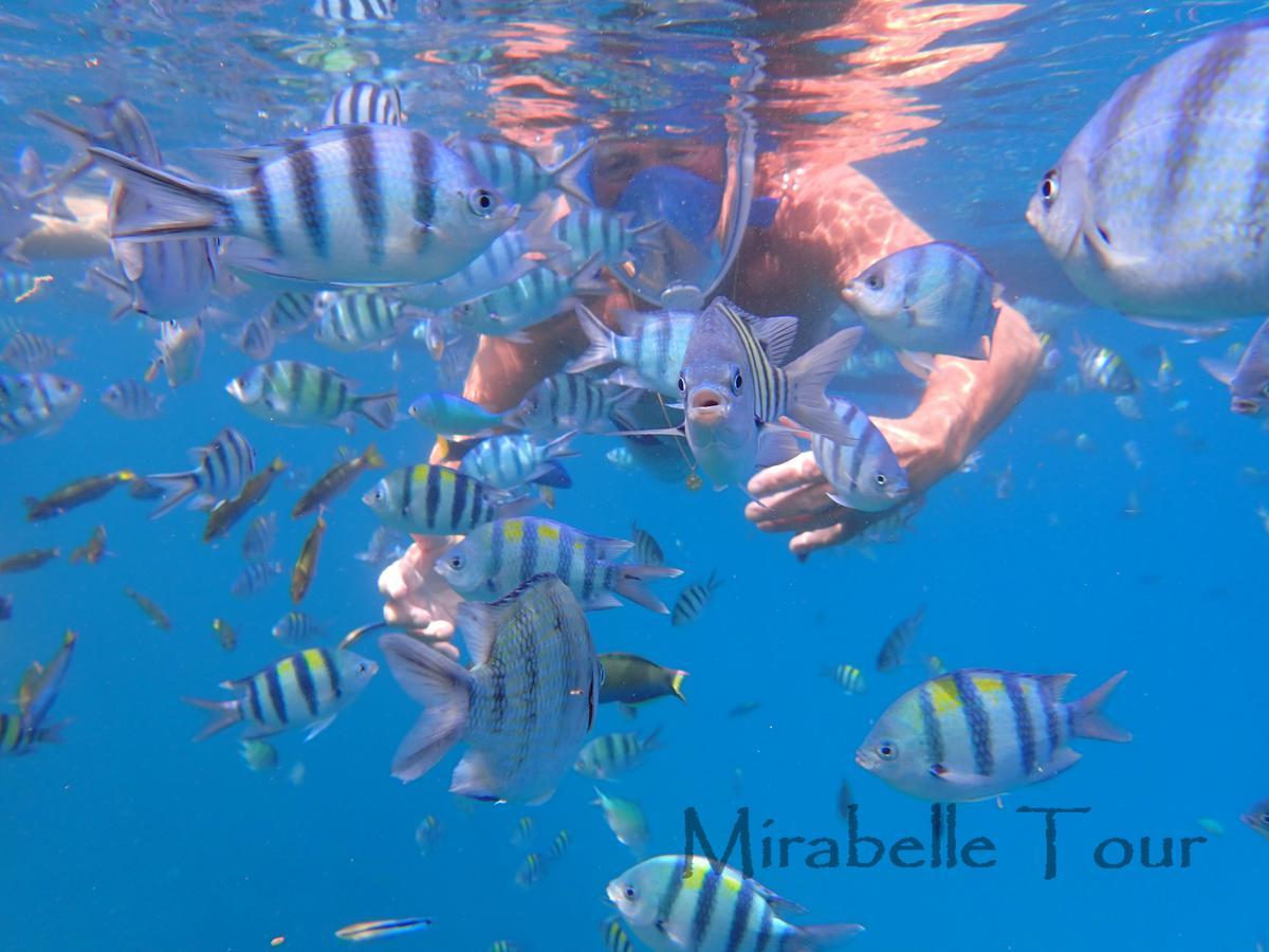 קרימונג'אווה Mirabelle Joglo Village מראה חיצוני תמונה